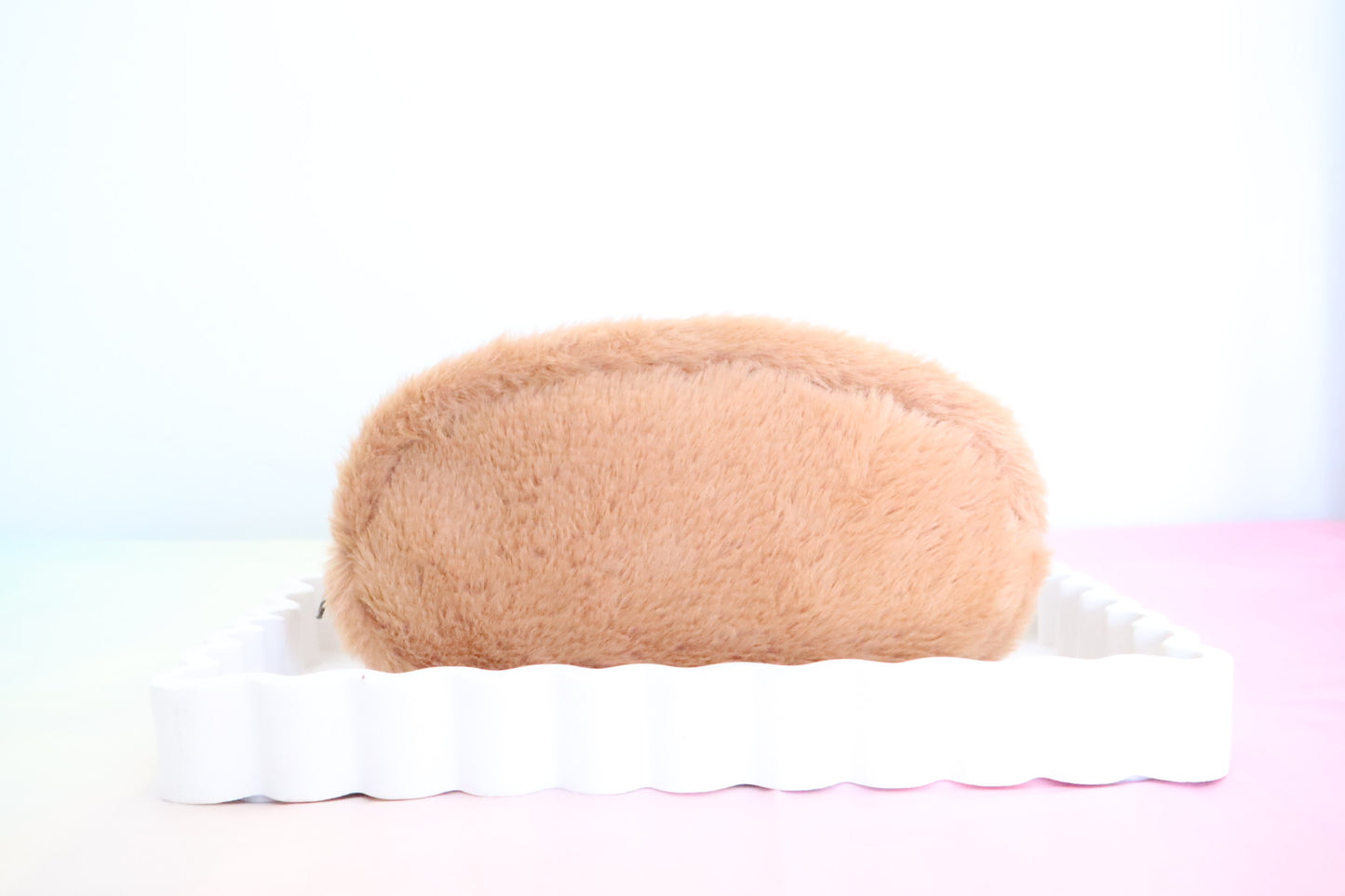 Capybara Pencil Case
