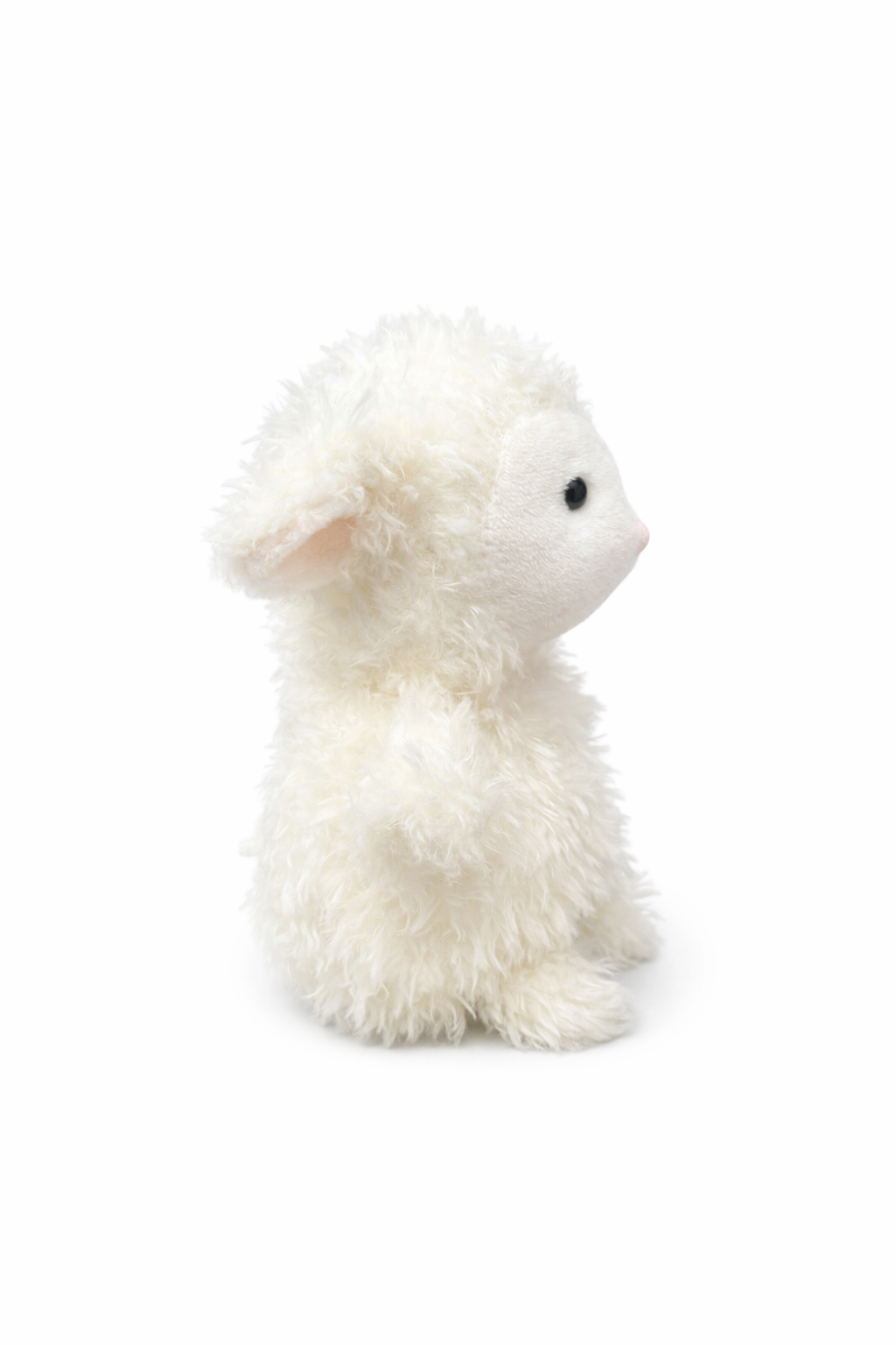 Little Curly Lamb