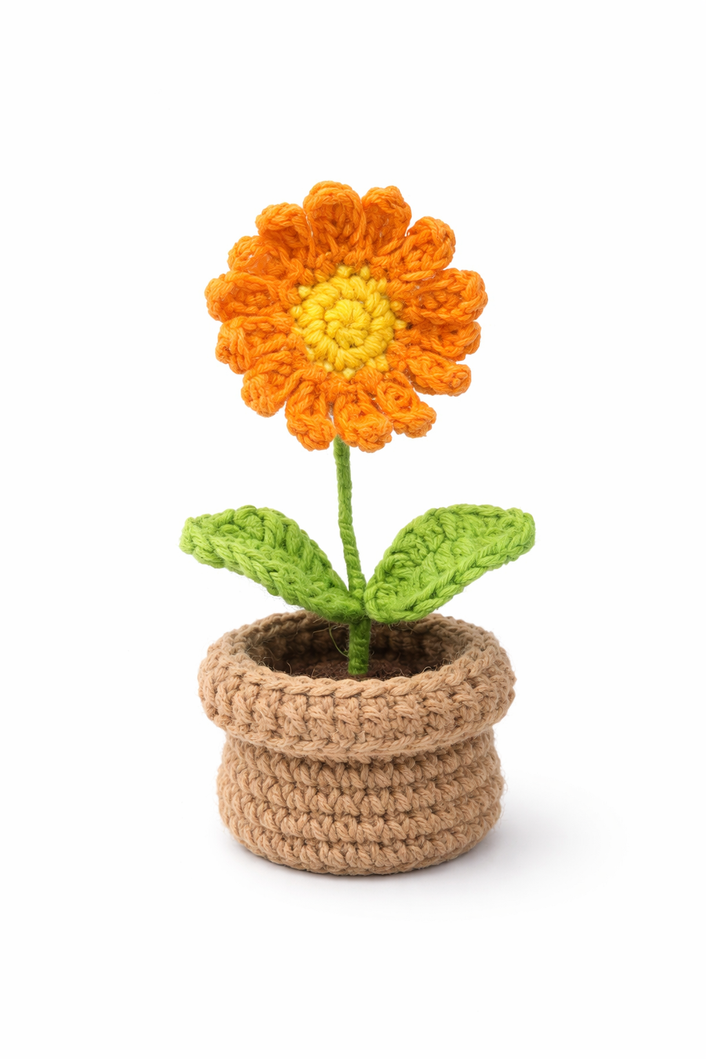 Mini Orange Daisy