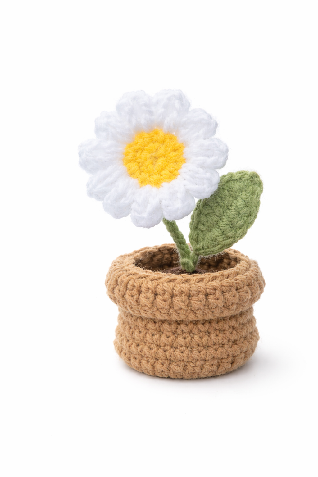 Mini White Daisy