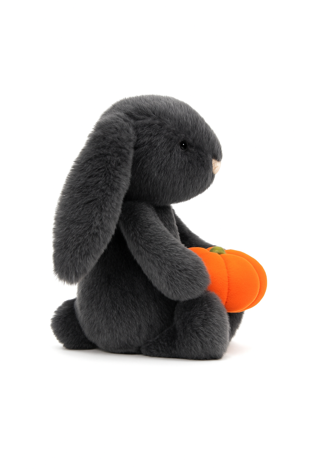 Dark Night Bunny x Pumpkin