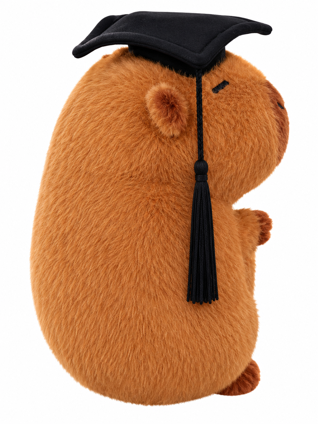 The Graduate Capybara