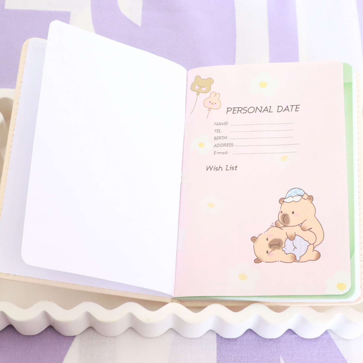 Capybara Diary Gift Set