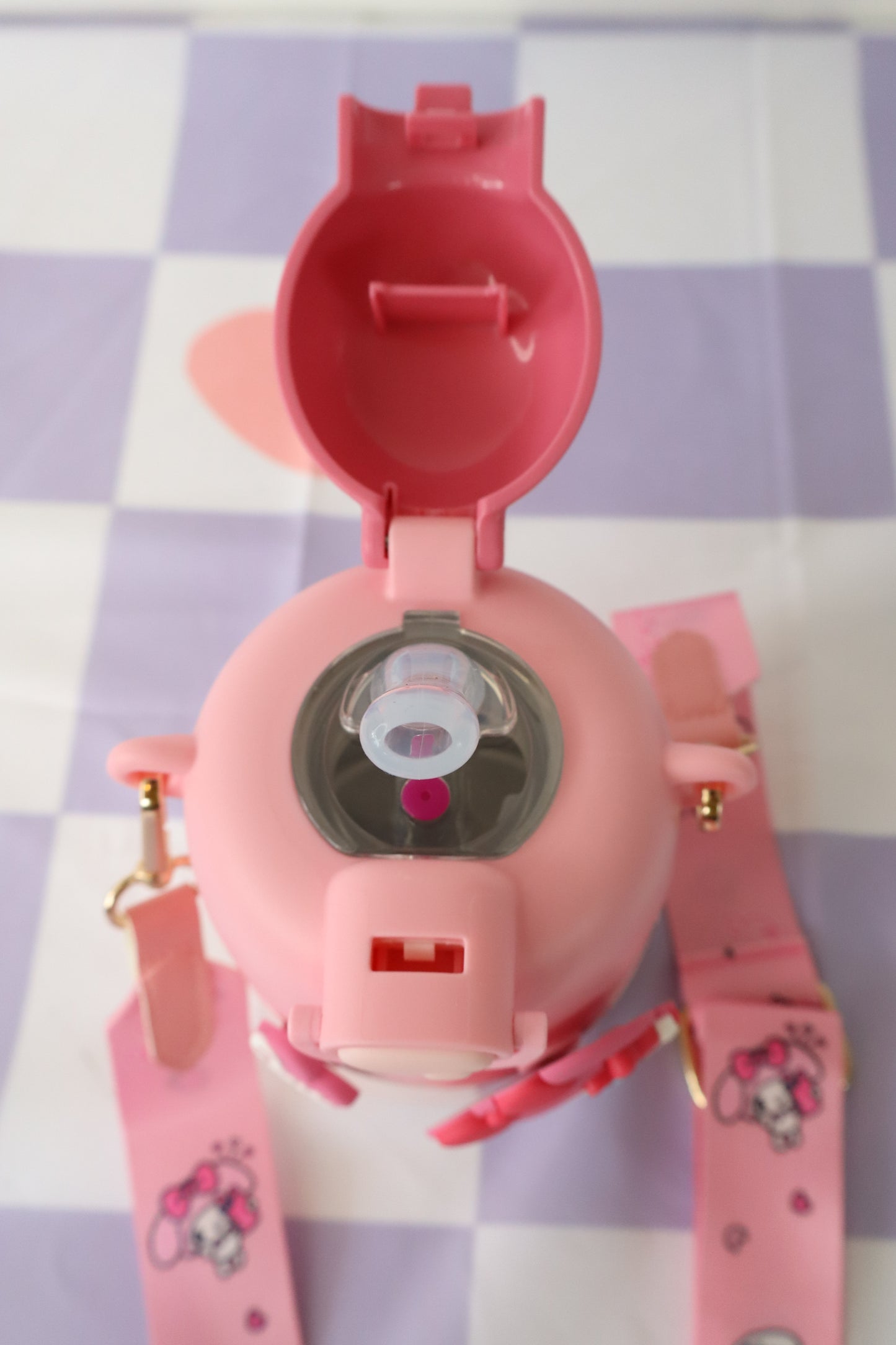 My Melody Water Bottle