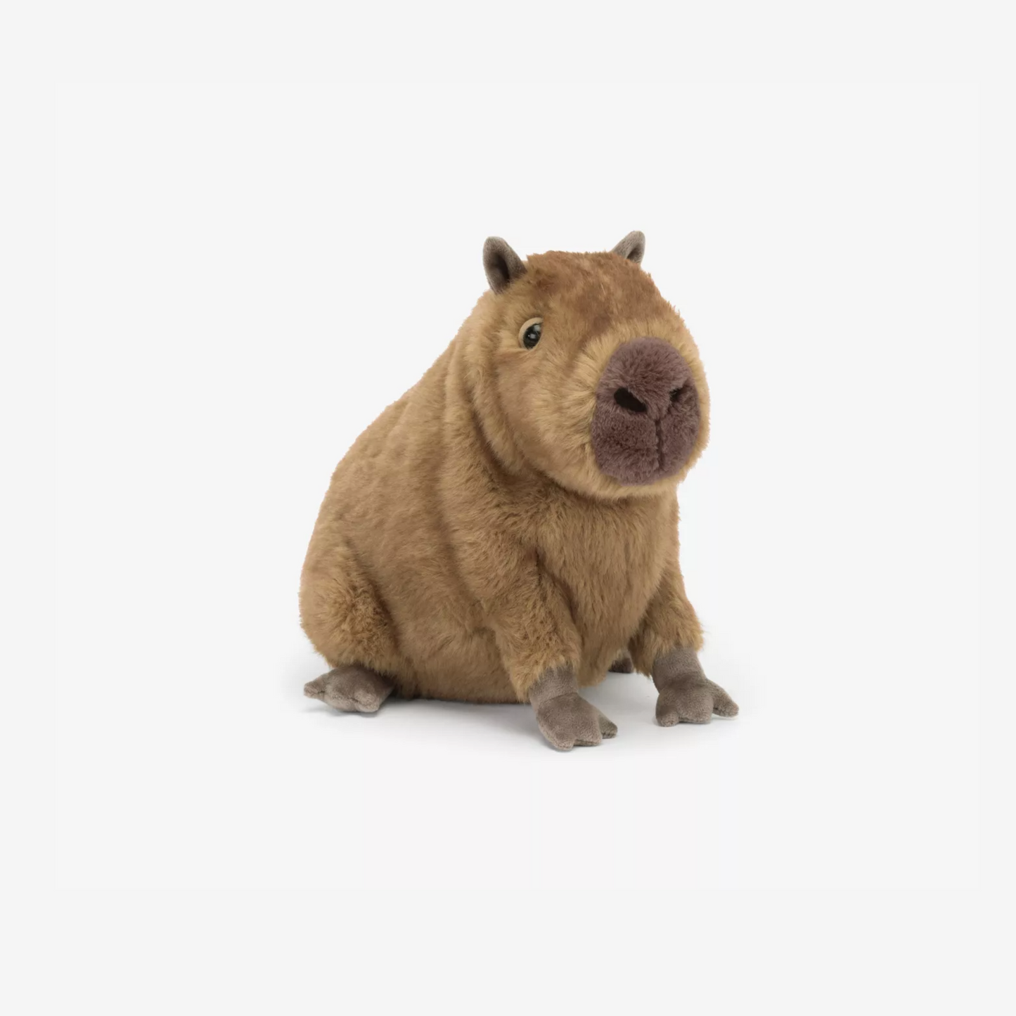 Jellycat Clyde Capybara