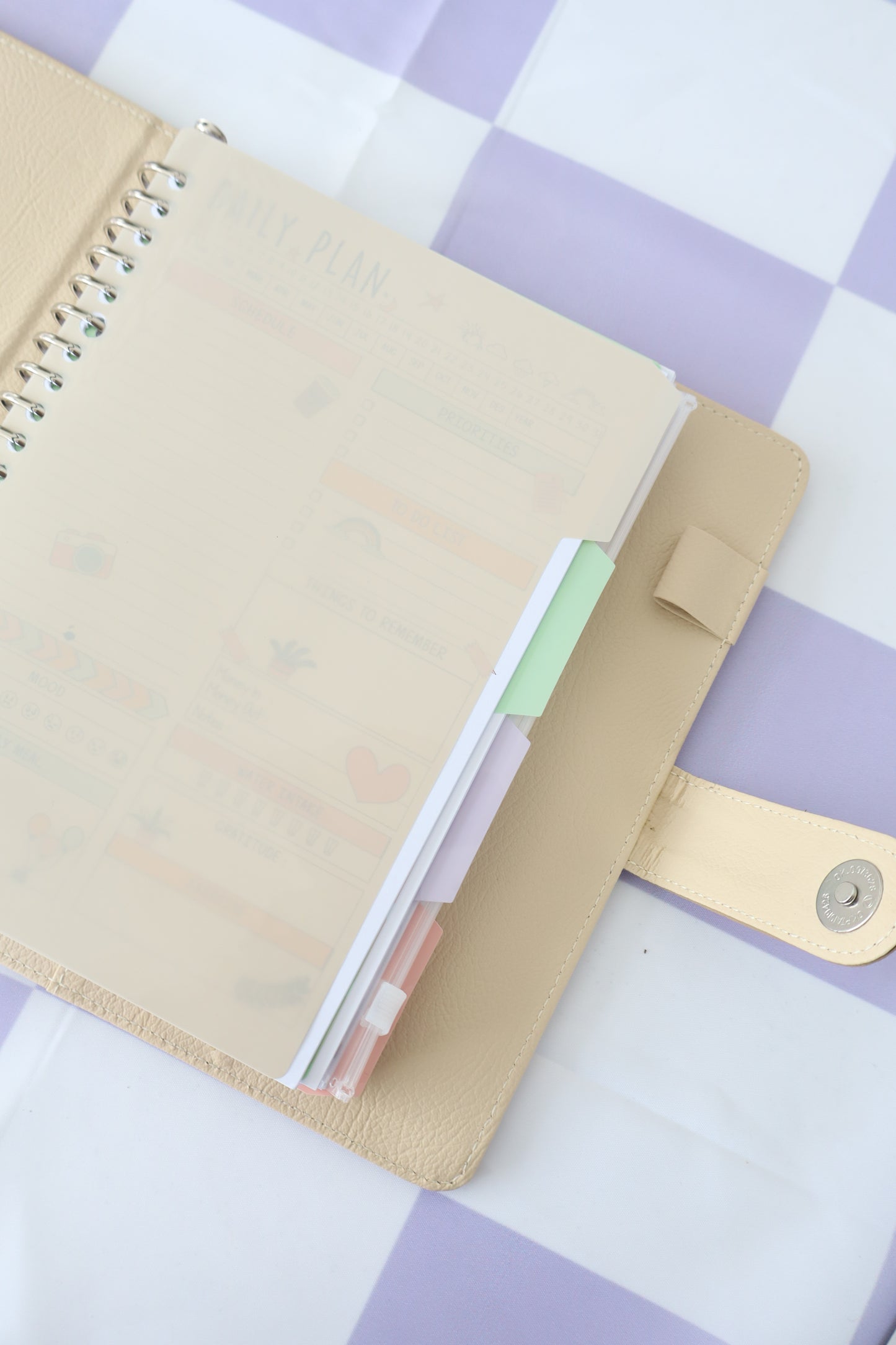 Study Binder