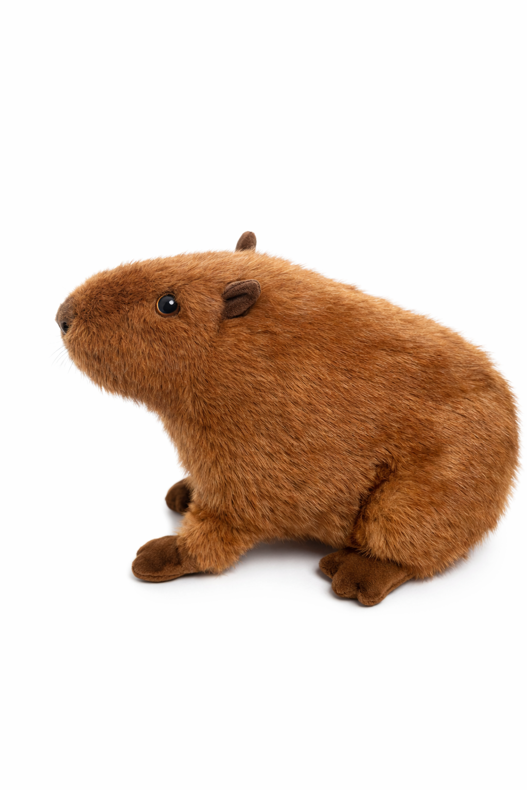Capybara Plush