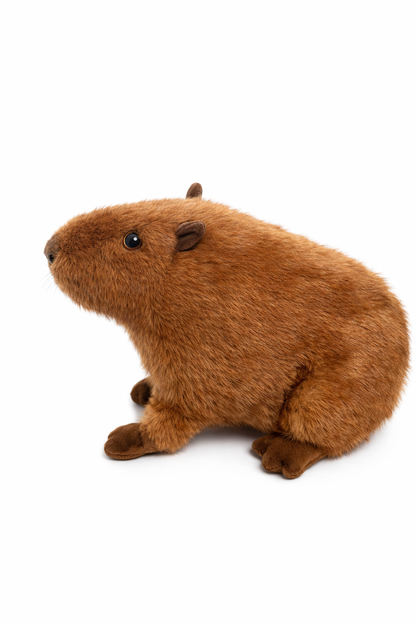 Capybara Plush