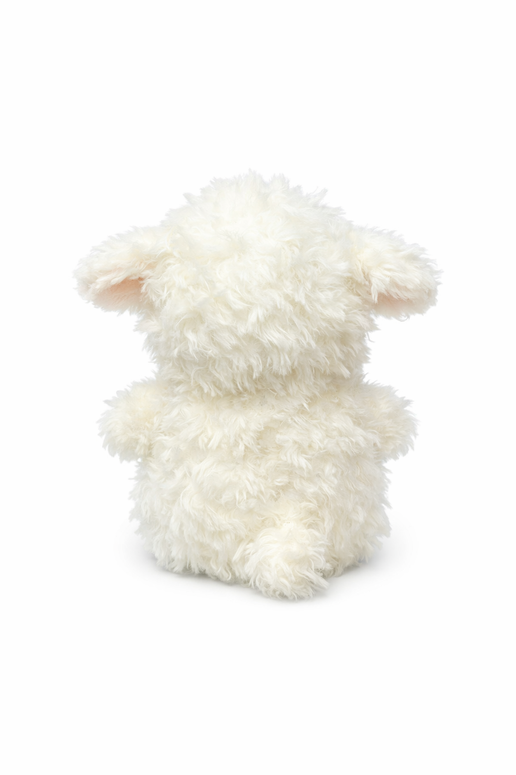 Little Curly Lamb