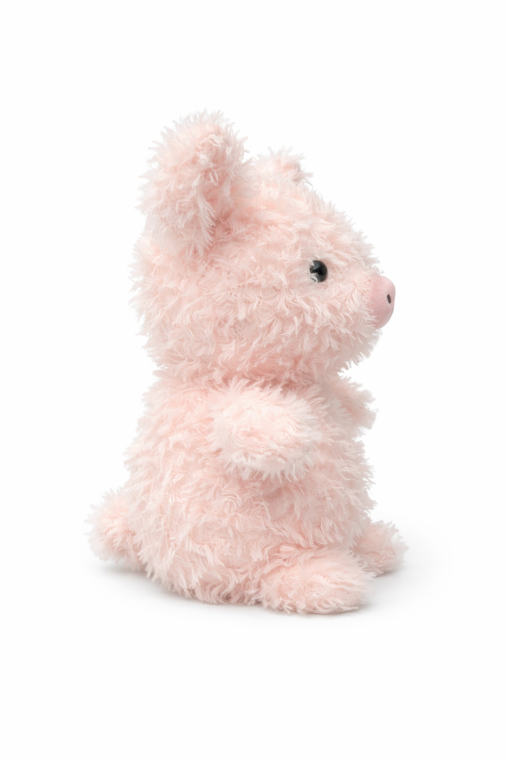 Little Curly Piglet