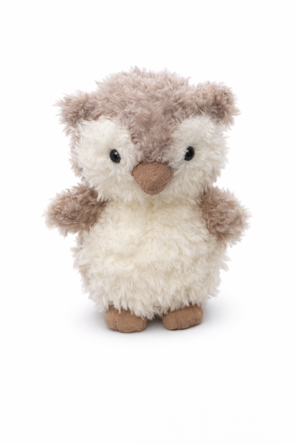 Little Curly Owl