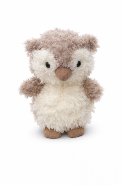 Little Curly Owl