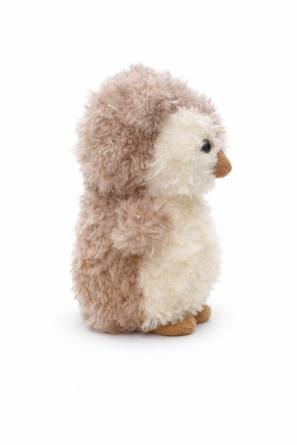 Little Curly Owl
