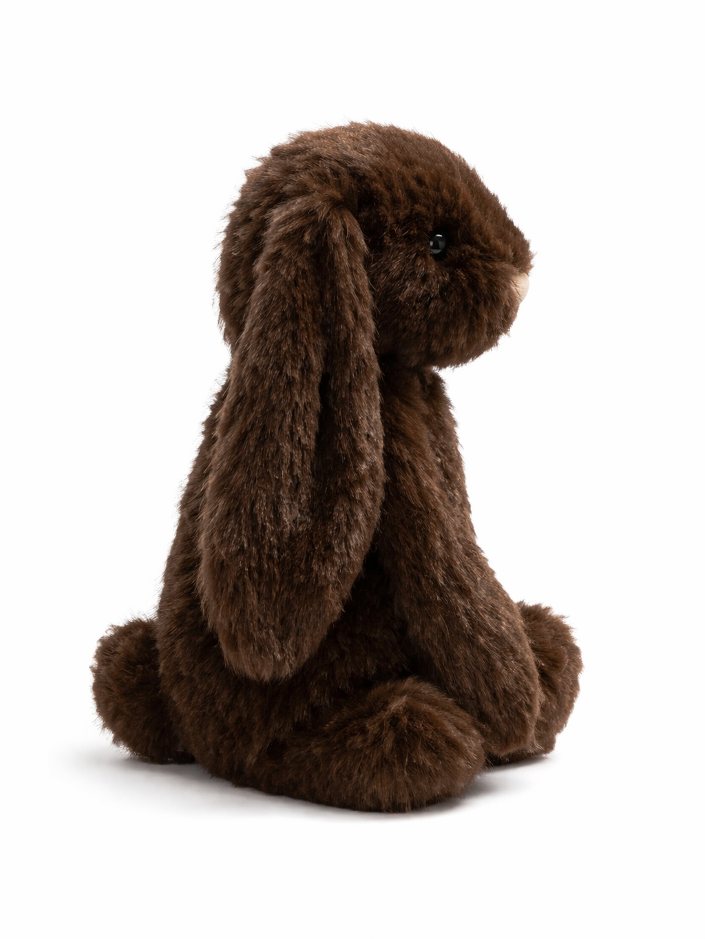 Cocoa Bunny
