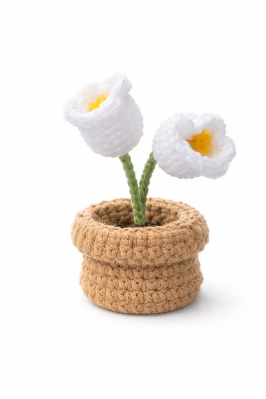 Sweet Cream Tulips