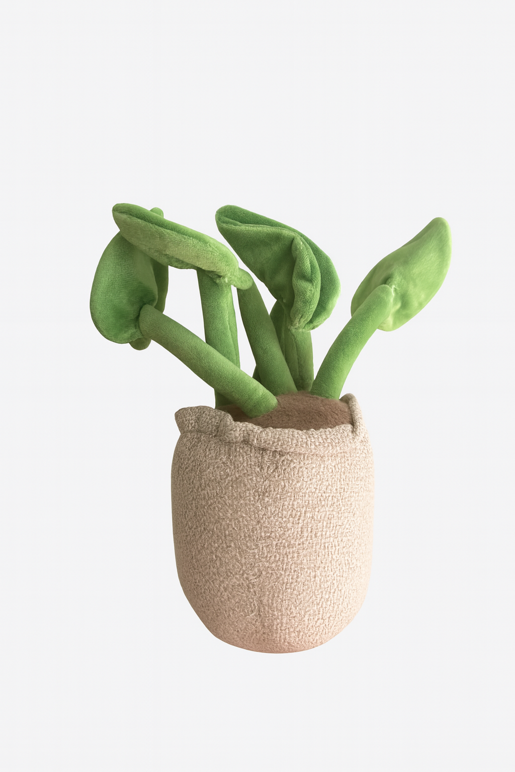Lilly Plush Plant