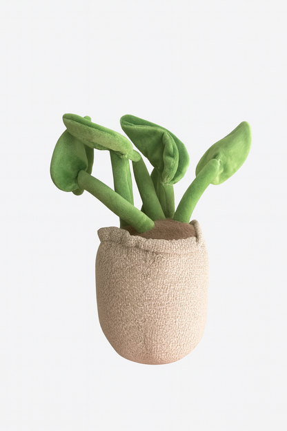 Lilly Plush Plant