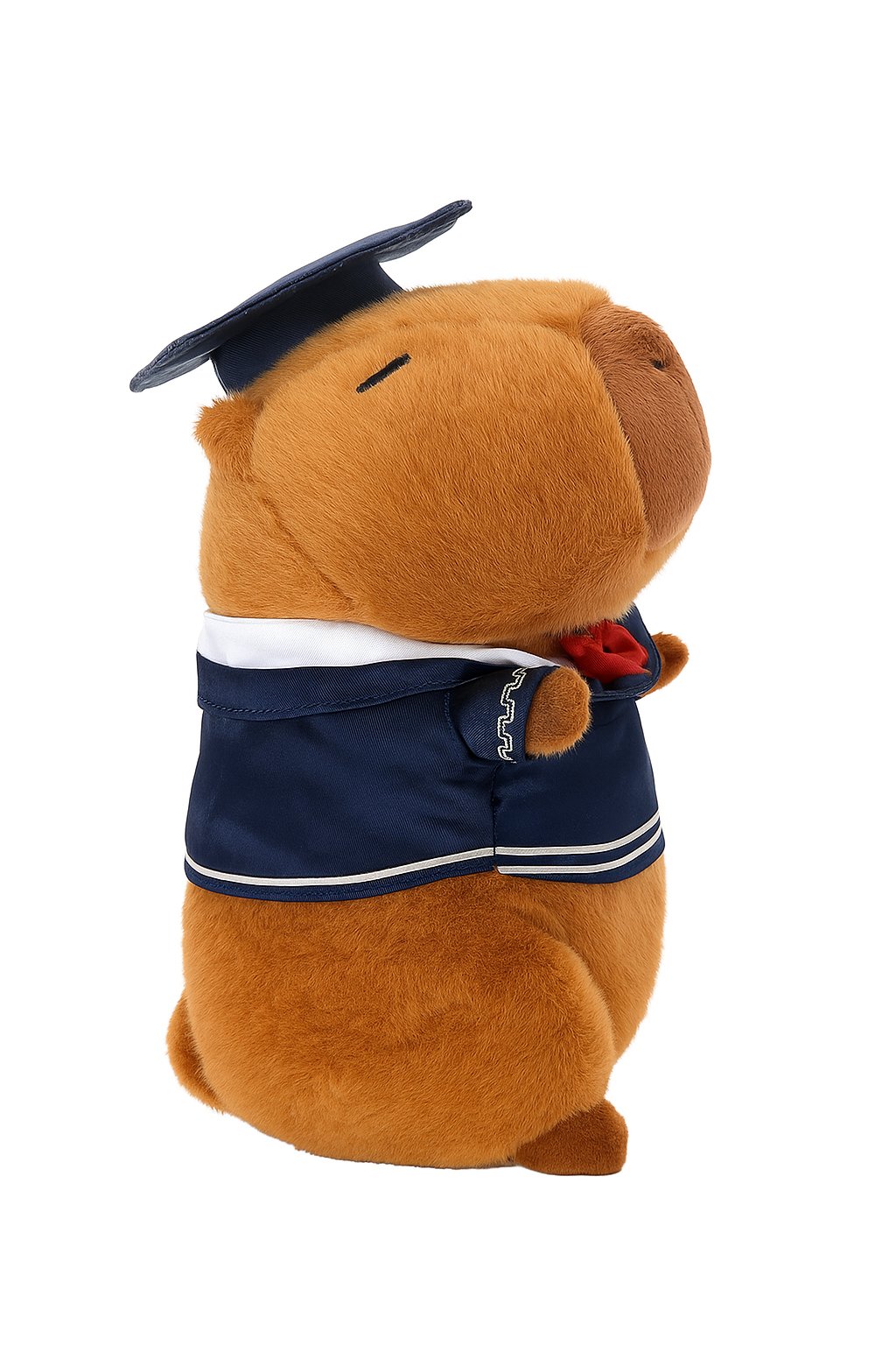 Capybara x Graduation