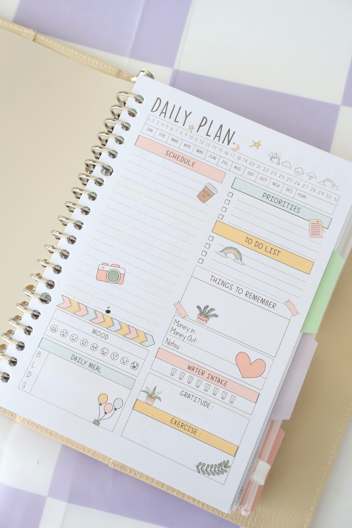 Study Binder