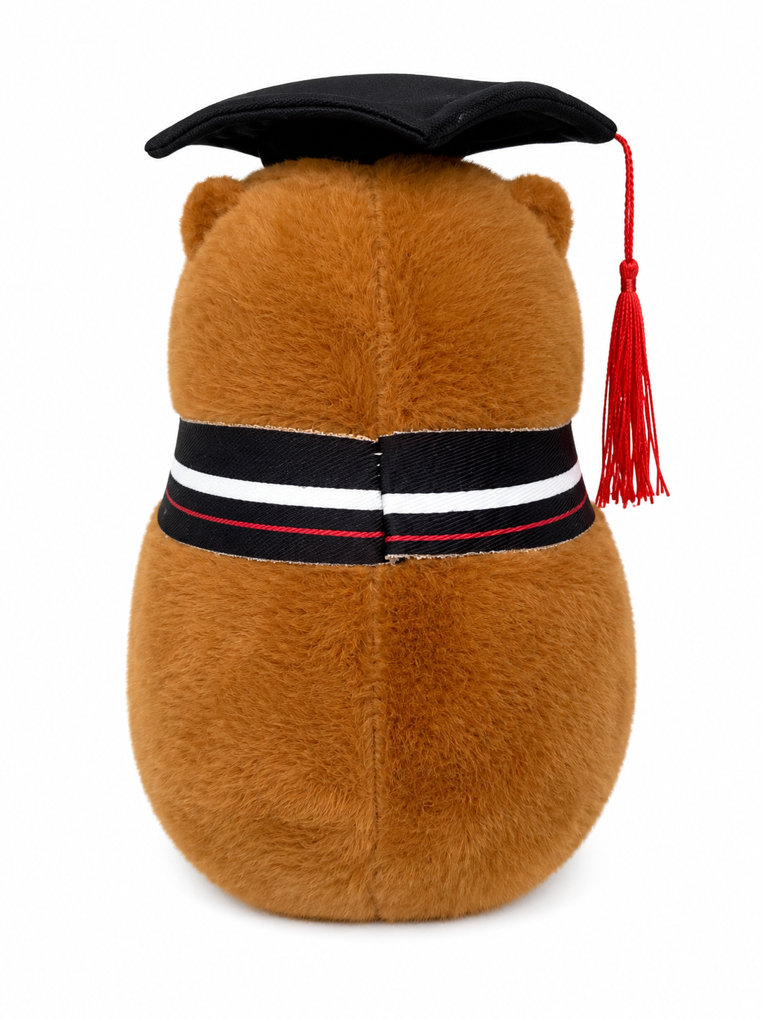 Capybara x Graduation (BLACK)