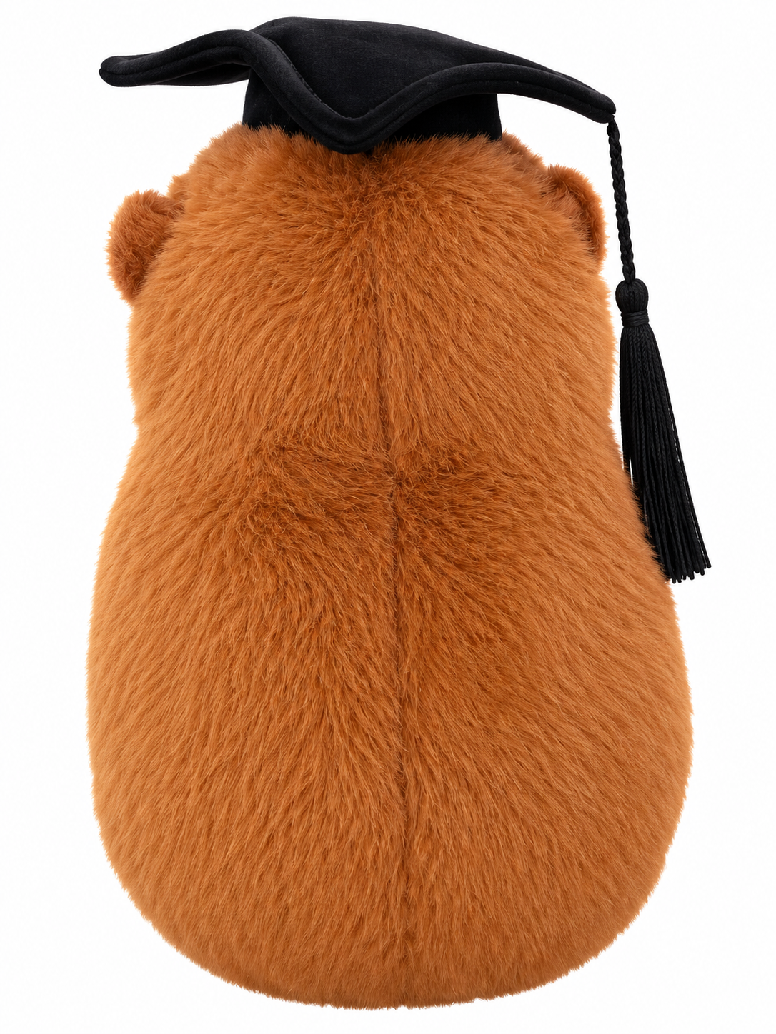 The Graduate Capybara