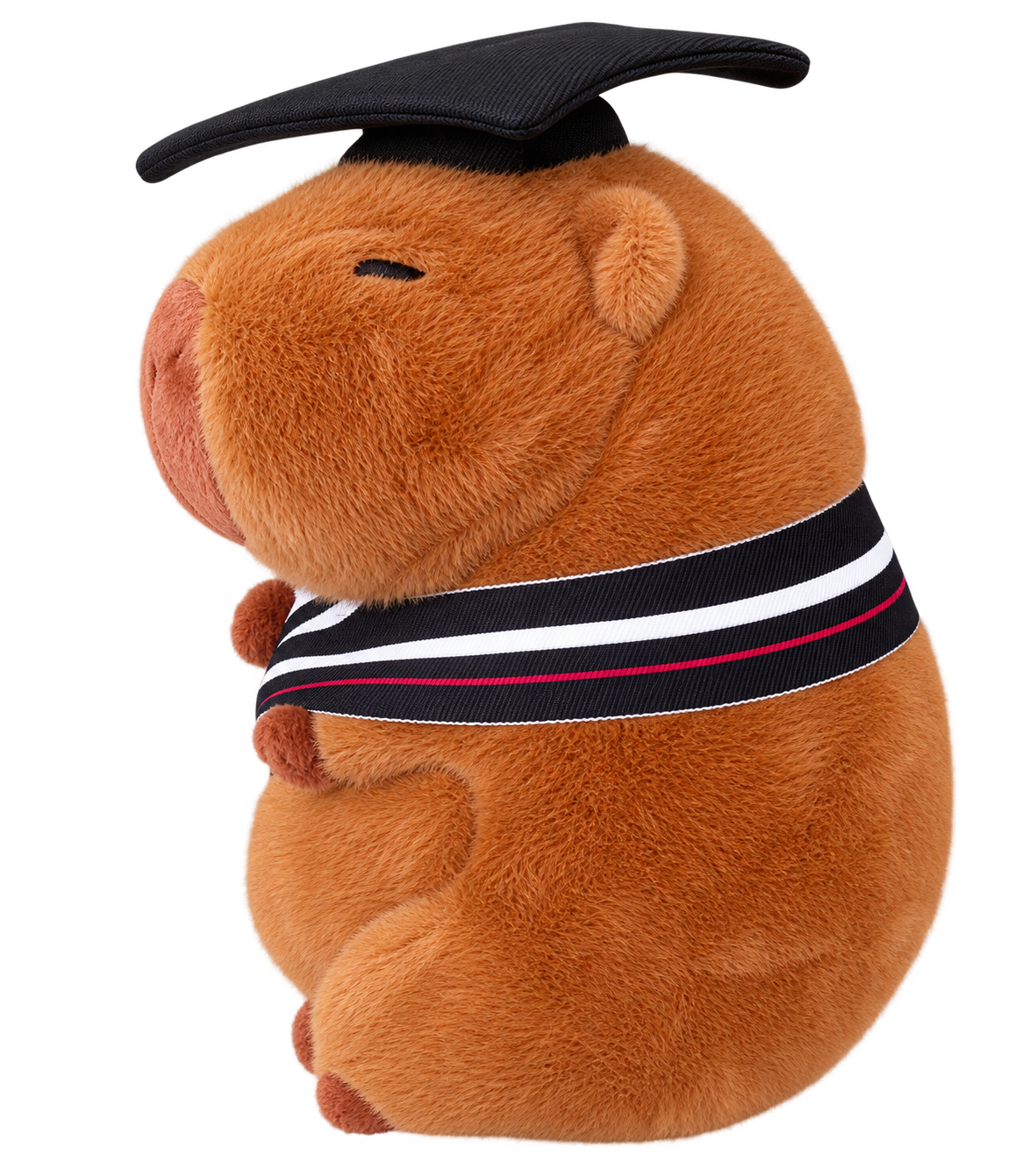Capybara x Graduation (BLACK)