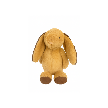 Caramel Chocolate Bunny
