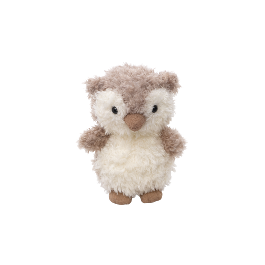 Little Curly Owl
