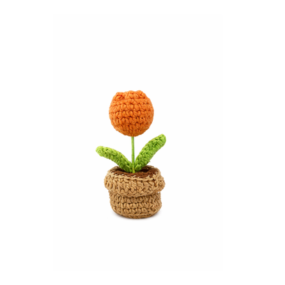 Mini Orange Tulip