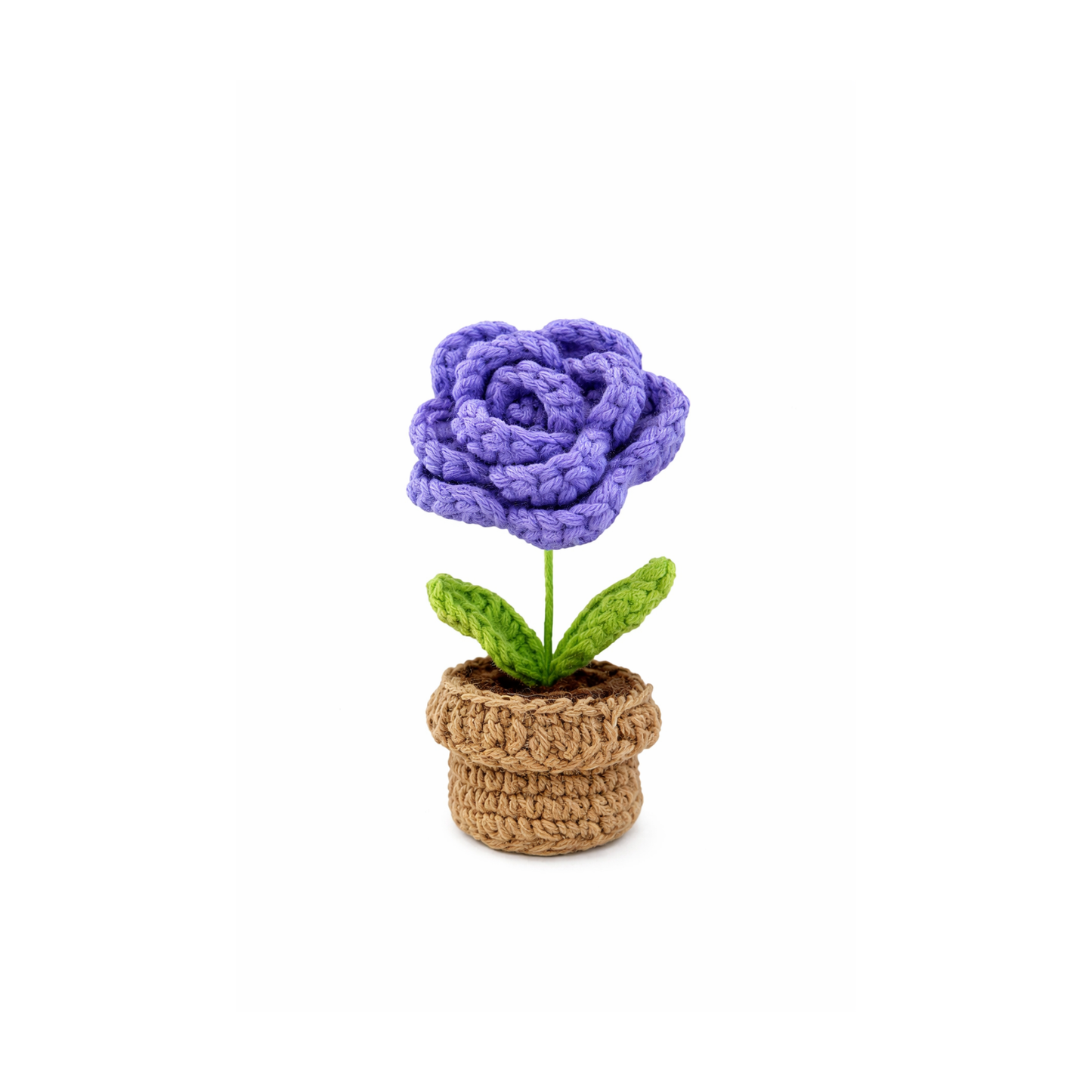 Mini Violet Rose