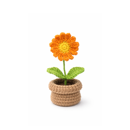 Mini Orange Daisy